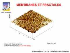 info.univ-angers.fr Pontie