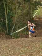 albathle.free.fr Pontoizeau