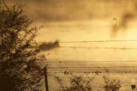 inhabitat.com Popoche