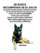 adoptamascota.com Porfiria