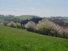 Posein