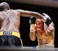 telegraaf.nl Poulino