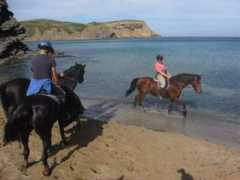 mymenorca.info Pouny