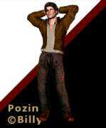 Pozin
