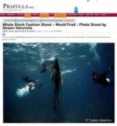 bluespheremedia.com Prafula