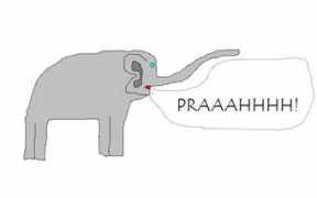 Prah