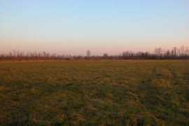 panoramio.com Prai