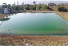 vakkachansrainpond.com Prakruthi