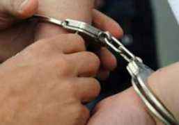 glas-javnosti.rs Pranjana