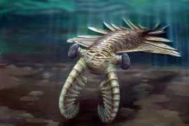 digitaljournal.com Predators
