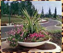 lubumbashi.free.fr Presidence