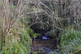objetivocantabria.eldiariomontanes.es Presillas