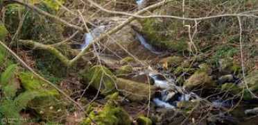 objetivocantabria.eldiariomontanes.es Presillas