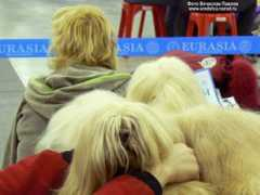 sredstva.narod.ru Pricheski