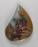 silverhawkscabs.com Priday