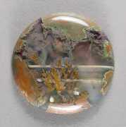 silverhawkscabs.com Priday