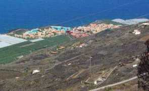 lapalmaisland.sheilacrosby.com Princessb