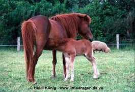 pictures.naturspot.de Prinzessa