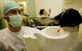 ustecky.denik.cz Pronata