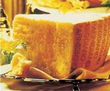 bologna.repubblica.it Protetti