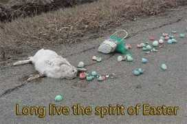 getyourkitsout.com Proudie