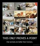 demotivation.us Proves