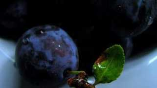 organicauthority.com Prunes