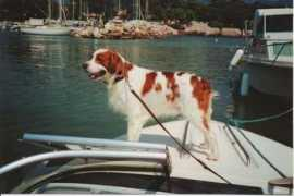 david.ctj.free.fr Ptitloup