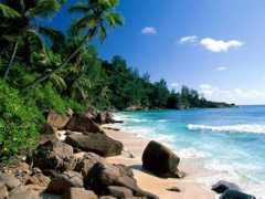 tailoredvacation.com Puertorico