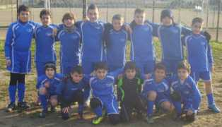 usmole1999.it Pulcini