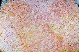 artinfo24.com Pumani
