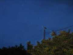 bastovanstvo.rs Punpu