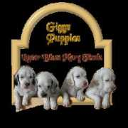 hem.bredband.net Pupps