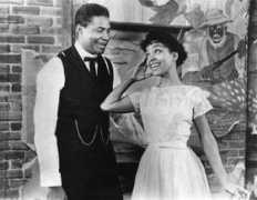 blog.timesunion.com Purlie