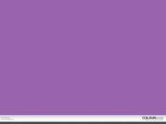 colourlovers.com Purpleberry