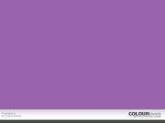 colourlovers.com Purpleberry
