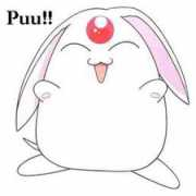 Puu