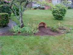 pmcgibbon.net Pyhllis