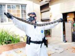 indiatoday.intoday.in Pyhton