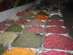 geocities.jp Qianhua