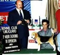 la-alborada.com Quenee