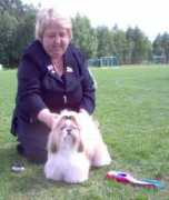 hundesider.net Quenni