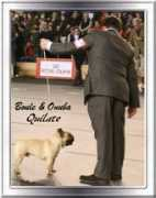 bouleonuba.com Quilate