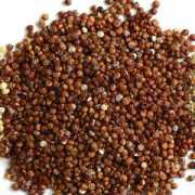 Quinoa