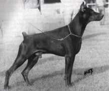 gallery.site.hu Quirinus