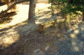 magnetit.ijs.si Quoka