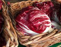 Radicchio
