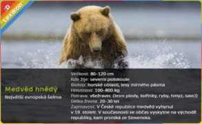 decko.ceskatelevize.cz Radilova