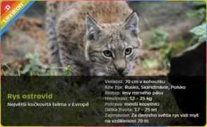 decko.ceskatelevize.cz Radilova