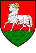 heraldry.ws Radziejowski